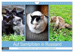 Auf Samtpfoten in Russland – Museums-Katzen auf russischen Landgütern (Wandkalender 2024 DIN A4 quer), CALVENDO Monatskalender von von Loewis of Menar,  Henning