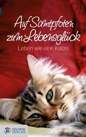 Auf Samtpfoten zum Lebensglück – Taschenbuchausgabe von Kail,  Angelika