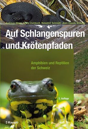 Auf Schlangenspuren und Krötenpfaden von Meyer,  Andreas, Monney,  Jean-Claude, Schmidt,  Benedikt R., Zumbach,  Silvia