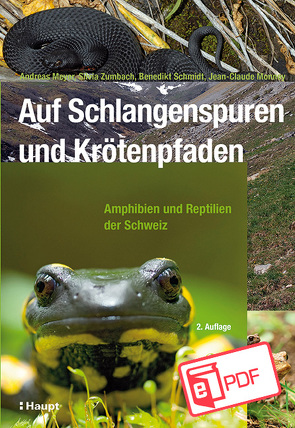 Auf Schlangenspuren und Krötenpfaden von Meyer,  Andreas, Monney,  Jean-Claude, Schmidt,  Benedikt R., Zumbach,  Silvia