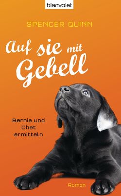 Auf sie mit Gebell von Quinn,  Spencer, Stumpf,  Andrea, Werbeck,  Gabriele