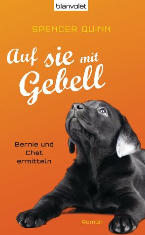 Auf sie mit Gebell von Quinn,  Spencer, Stumpf,  Andrea, Werbeck,  Gabriele