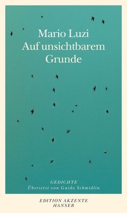 Auf unsichtbarem Grunde von Luzi,  Mario, Schmidlin,  Guido