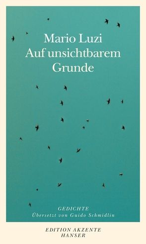 Auf unsichtbarem Grunde von Luzi,  Mario, Schmidlin,  Guido