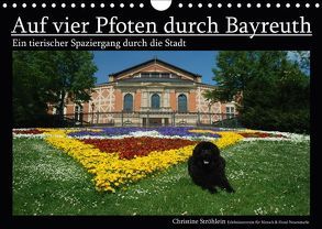 Auf vier Pfoten durch Bayreuth (Wandkalender 2018 DIN A4 quer) von Ströhlein,  Christine