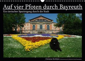 Auf vier Pfoten durch Bayreuth (Wandkalender 2019 DIN A3 quer) von Ströhlein,  Christine