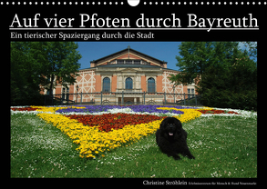 Auf vier Pfoten durch Bayreuth (Wandkalender 2020 DIN A3 quer) von Ströhlein,  Christine