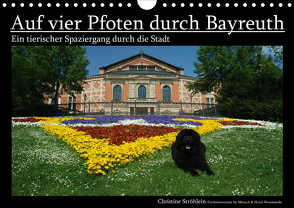 Auf vier Pfoten durch Bayreuth (Wandkalender 2020 DIN A4 quer) von Ströhlein,  Christine