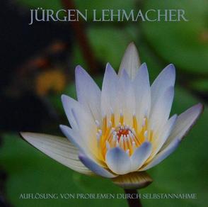 Auflösung von Problemen durch Selbstannahme von Lehmacher,  Jürgen