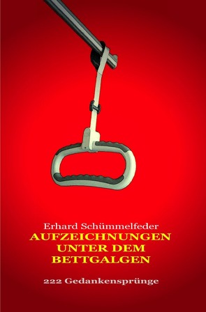 Aufzeichnungen unter dem Bettgalgen von Schümmelfeder,  Erhard