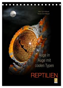 Auge in Auge mit coolen Typen – REPTILIEN (Tischkalender 2024 DIN A5 hoch), CALVENDO Monatskalender von Schmidbauer,  Heinz