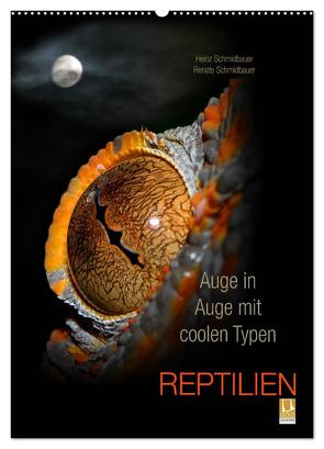 Auge in Auge mit coolen Typen – REPTILIEN (Wandkalender 2024 DIN A2 hoch), CALVENDO Monatskalender von Schmidbauer,  Heinz