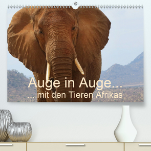 Auge in Auge mit den Tieren Afrikas (Premium, hochwertiger DIN A2 Wandkalender 2021, Kunstdruck in Hochglanz) von Dürr,  Brigitte