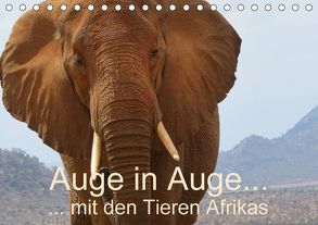 Auge in Auge mit den Tieren Afrikas (Tischkalender 2018 DIN A5 quer) von Dürr,  Brigitte