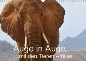 Auge in Auge mit den Tieren Afrikas (Wandkalender 2018 DIN A3 quer) von Dürr,  Brigitte