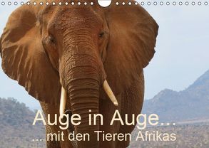 Auge in Auge mit den Tieren Afrikas (Wandkalender 2019 DIN A4 quer) von Dürr,  Brigitte