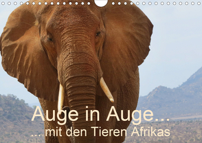 Auge in Auge mit den Tieren Afrikas (Wandkalender 2021 DIN A4 quer) von Dürr,  Brigitte