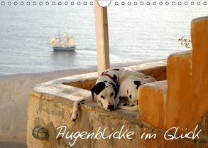 Augenblicke im Glück (Wandkalender 2019 DIN A4 quer) von Loos,  Alexandra, www.shabbyflair.de