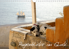 Augenblicke im Glück (Wandkalender 2021 DIN A4 quer) von Loos,  Alexandra, www.shabbyflair.de