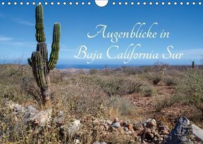 Augenblicke in Baja California Sur (Wandkalender 2018 DIN A4 quer) von & Thomas Schilling,  Marion