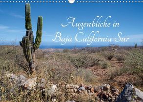 Augenblicke in Baja California Sur (Wandkalender 2019 DIN A3 quer) von & Thomas Schilling,  Marion