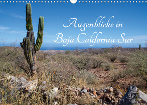 Augenblicke in Baja California Sur (Wandkalender 2020 DIN A3 quer) von & Thomas Schilling,  Marion