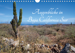 Augenblicke in Baja California Sur (Wandkalender 2020 DIN A4 quer) von & Thomas Schilling,  Marion