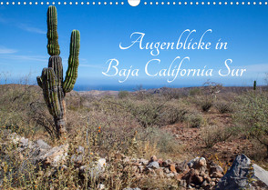 Augenblicke in Baja California Sur (Wandkalender 2022 DIN A3 quer) von & Thomas Schilling,  Marion