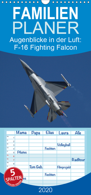 Augenblicke in der Luft: F-16 Fighting Falcon – Familienplaner hoch (Wandkalender 2020 , 21 cm x 45 cm, hoch) von Prokic,  Aleksandar