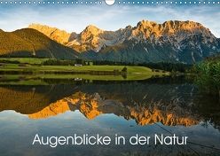 Augenblicke in der Natur (Wandkalender 2018 DIN A3 quer) von Faulhaber,  Birgit