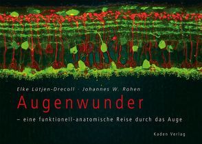 Augenwunder – eine funktionell-anatomische Reise durch das Auge von Lütjen-Drecoll,  Elke, Rohen,  Johannes W