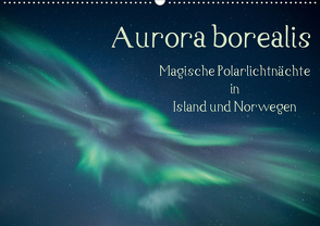 Aurora borealis – Magische Polarlichtnächte in Island und Norwegen (Wandkalender 2021 DIN A2 quer) von Grühn-Stauber,  Kirstin