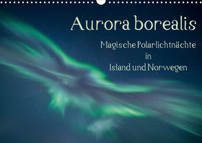 Aurora borealis – Magische Polarlichtnächte in Island und Norwegen (Wandkalender 2021 DIN A3 quer) von Grühn-Stauber,  Kirstin