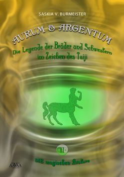 Aurum und Argentum (2) – Die magischen Avatare (Großdruck) von Burmeister,  Saskia V.