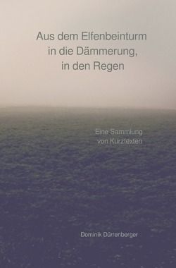 Aus dem Elfenbeinturm in die Dämmerung, in den Regen von Dürrenberger,  Dominik