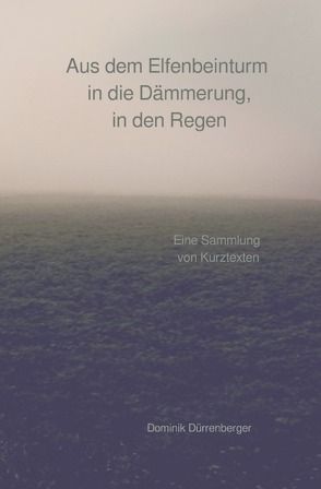 Aus dem Elfenbeinturm in die Dämmerung, in den Regen von Dürrenberger,  Dominik