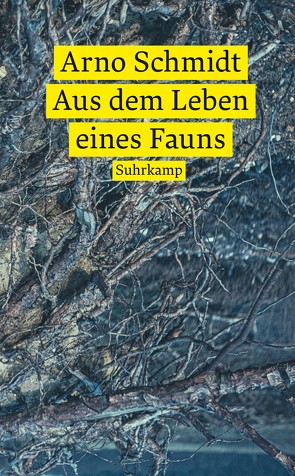 Aus dem Leben eines Fauns von Schmidt,  Arno