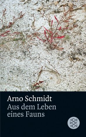 Aus dem Leben eines Fauns von Schmidt,  Arno