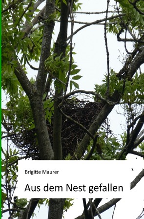 Aus dem Nest gefallen von Maurer,  Brigitte