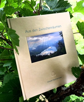 Aus den Zwischenräumen von Paarhammer,  Ursula