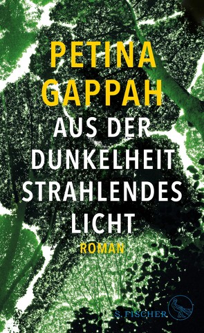 Aus der Dunkelheit strahlendes Licht von Gappah,  Petina, Grube,  Anette