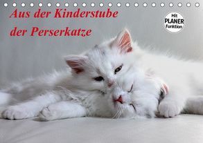 Aus der Kinderstube der Perserkatze (Tischkalender 2019 DIN A5 quer) von Klatt,  Arno