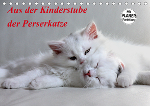 Aus der Kinderstube der Perserkatze (Tischkalender 2021 DIN A5 quer) von Klatt,  Arno