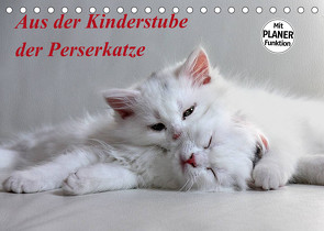 Aus der Kinderstube der Perserkatze (Tischkalender 2022 DIN A5 quer) von Klatt,  Arno