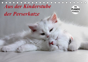 Aus der Kinderstube der Perserkatze (Tischkalender 2023 DIN A5 quer) von Klatt,  Arno