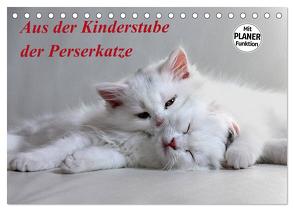 Aus der Kinderstube der Perserkatze (Tischkalender 2024 DIN A5 quer), CALVENDO Monatskalender von Klatt,  Arno