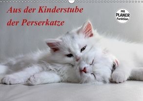 Aus der Kinderstube der Perserkatze (Wandkalender 2018 DIN A3 quer) von Klatt,  Arno