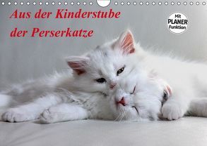 Aus der Kinderstube der Perserkatze (Wandkalender 2019 DIN A4 quer) von Klatt,  Arno