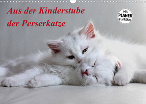 Aus der Kinderstube der Perserkatze (Wandkalender 2023 DIN A3 quer) von Klatt,  Arno