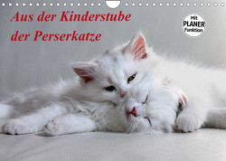 Aus der Kinderstube der Perserkatze (Wandkalender 2023 DIN A4 quer) von Klatt,  Arno